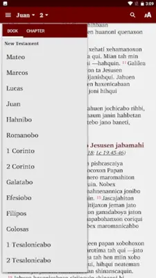 Capanahua - Biblia android App screenshot 4